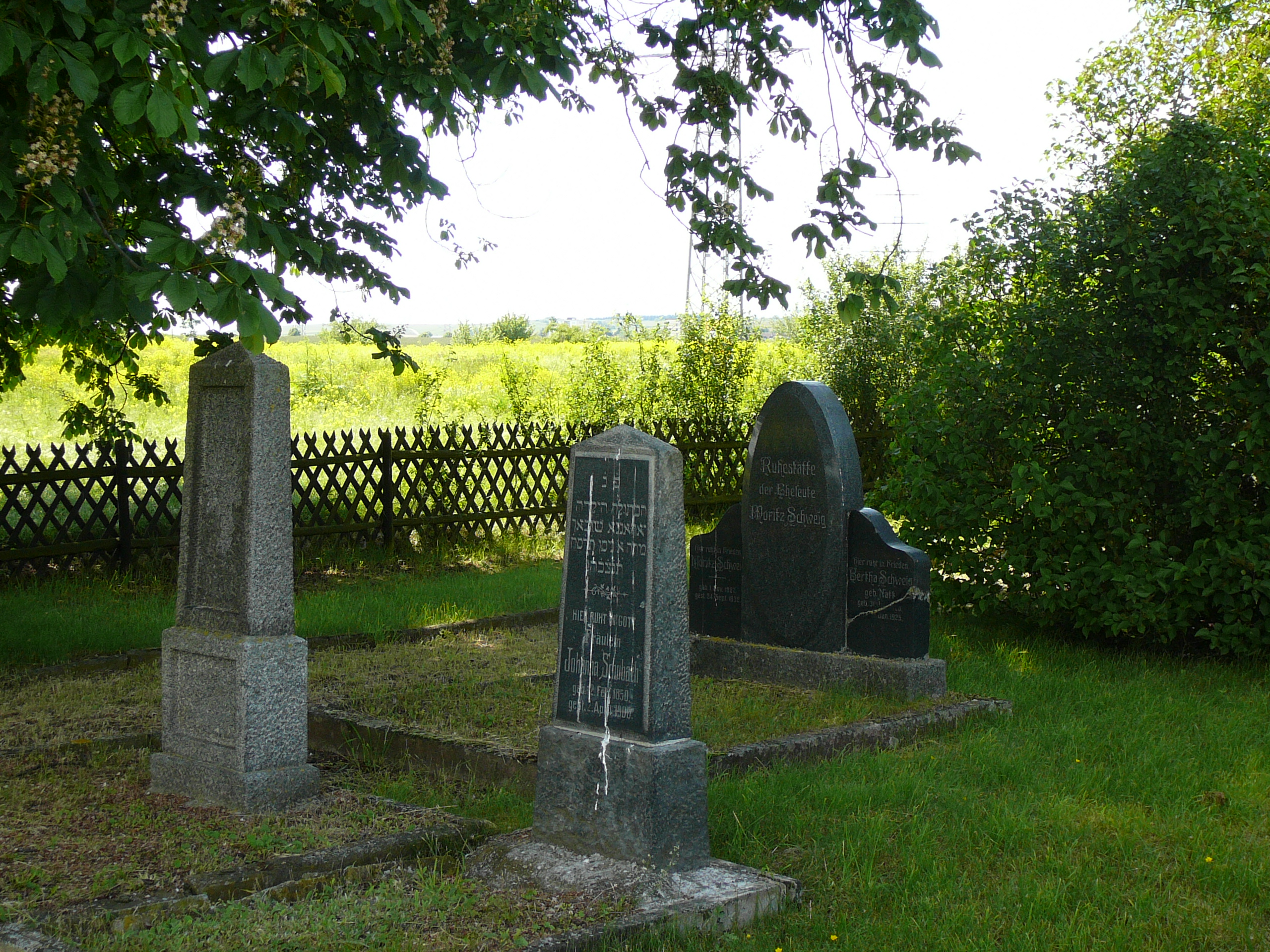 Alter Jüdischer Friedhof am Kreisel B 48/B41